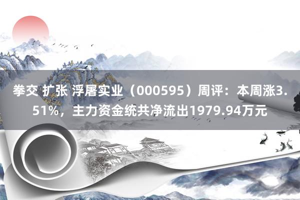 拳交 扩张 浮屠实业（000595）周评：本周涨3.51%，主力资金统共净流出1979.94万元