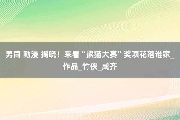 男同 動漫 揭晓！来看“熊猫大赛”奖项花落谁家_作品_竹侠_成齐